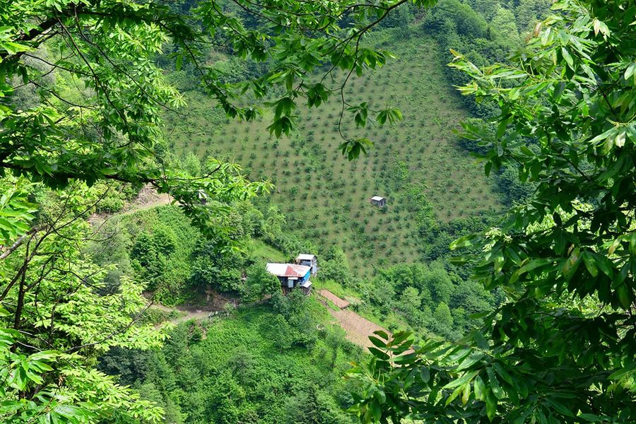 Artvin